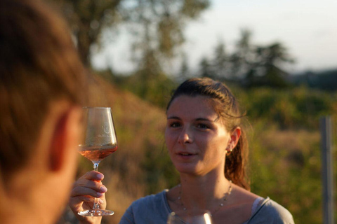 Nice : Visite des vignobles avec dégustation de vinOption avec transport