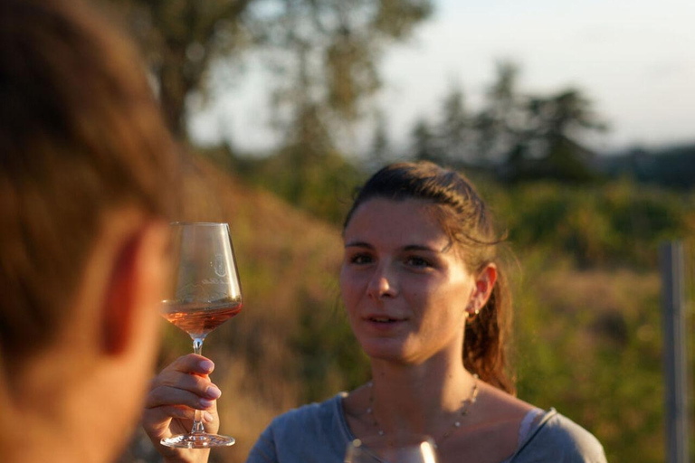 Nizza: Tour dei vigneti con degustazione di viniOpzione con trasporto