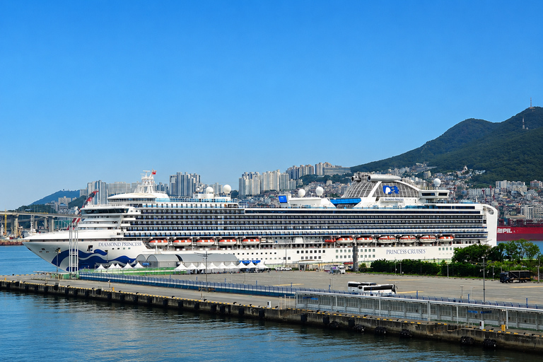 Busan Small Group Cruise Shore Excursion with Sky Capsule Private Cruise Shore Excursion (No Sky Capsule)