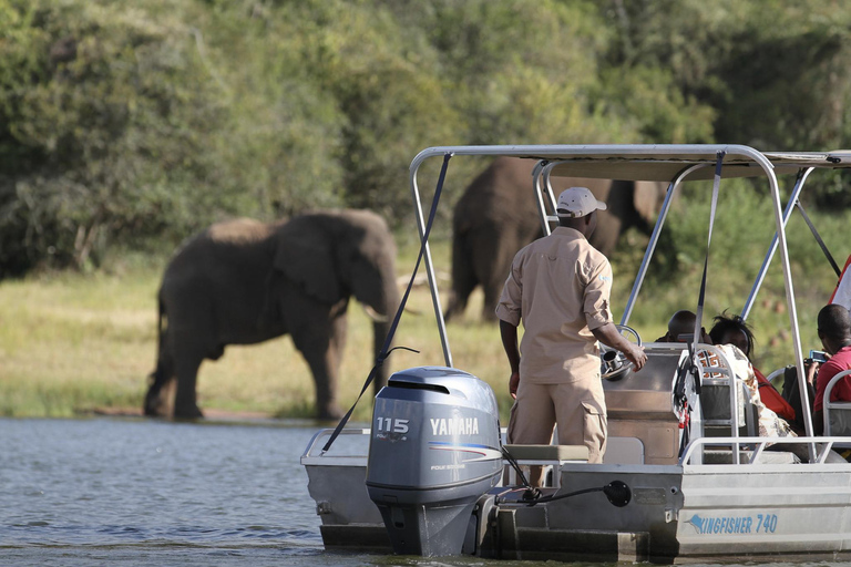 3-day Rwanda Bird Watching in Akagera National Park