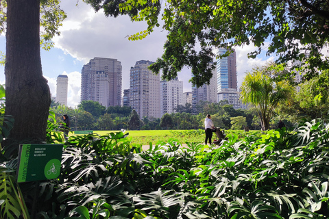 São Paulo: Modern Architecture and Luxury Walking Tour