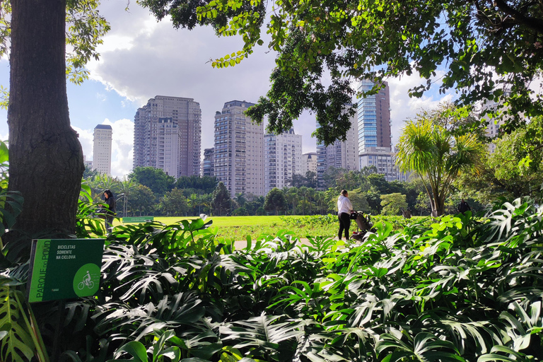 São Paulo: Modern Architecture and Luxury Walking Tour