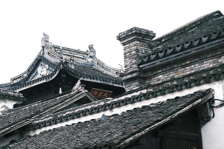 From Hangzhou: Wuzhen Water Town Day Trip & Night Lights