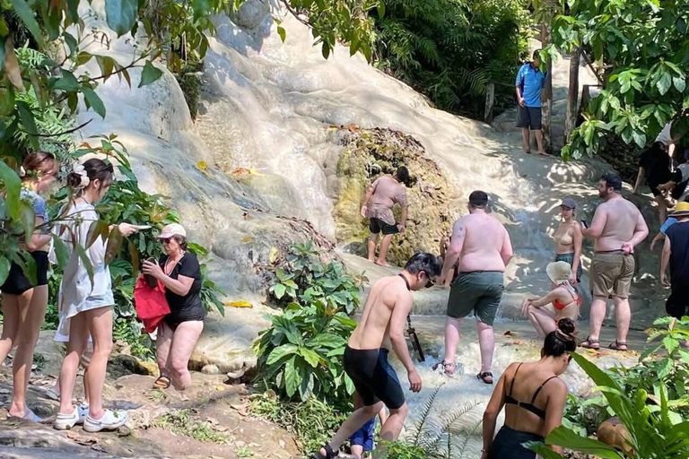 Chiang Mai: Afternoon Bua Tong Sticky Waterfall by Red Taxi