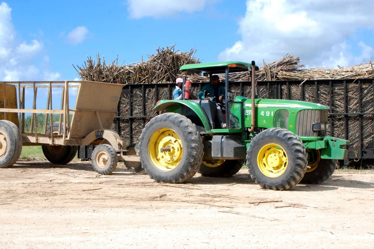 Buggy o zachodzie słońca — cały dzień — mała grupaBuggy o zachodzie słońca – cały dzień – mała grupa