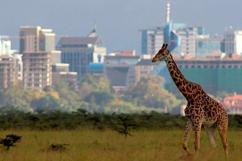 Nairobi: National Park, Elephant Orphanage, and Giraffe Tour
