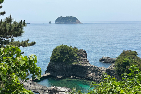 Jeju Sud: Tour di un giorno con guarigione dell&#039;UNESCO per piccoli gruppi