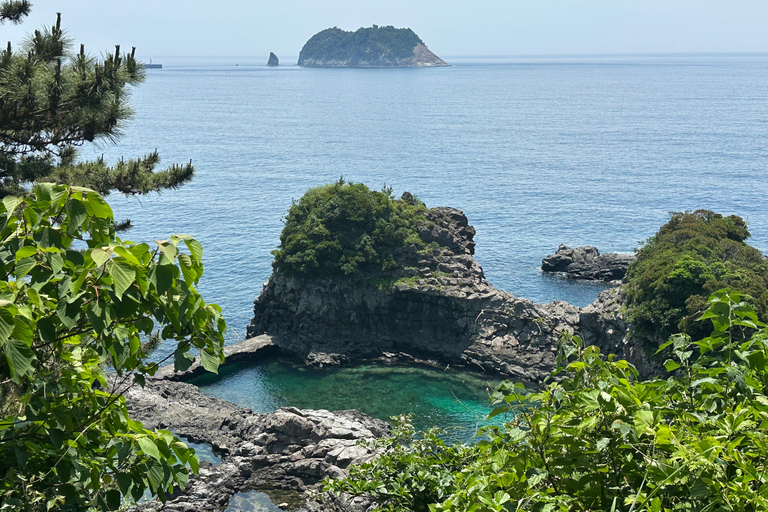 Jeju Sur: Curación UNESCO Tour en grupo reducido de un día