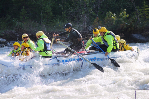 Kicking Horse River: Halbtägige Einführung in das Wildwasser-Rafting