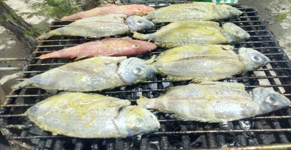 Fishing excursion with barbecue & snorkeling on the island of Djeu Boavista