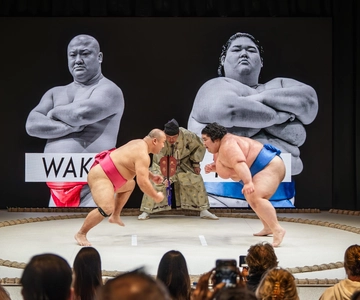 Osaka: Sumo Stage Show with Bento & Fight + Photo Shooting