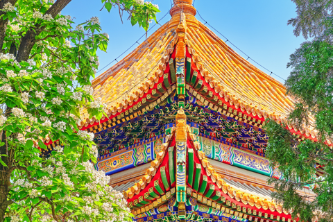 Pékin : Temple Lamar （Les meilleurs temples locaux） Billets d&#039;entrée