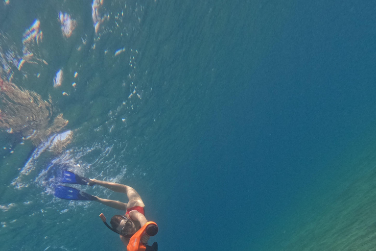 Paphos: Schildpadden kijken Snorkelen Zee Scooter Trip