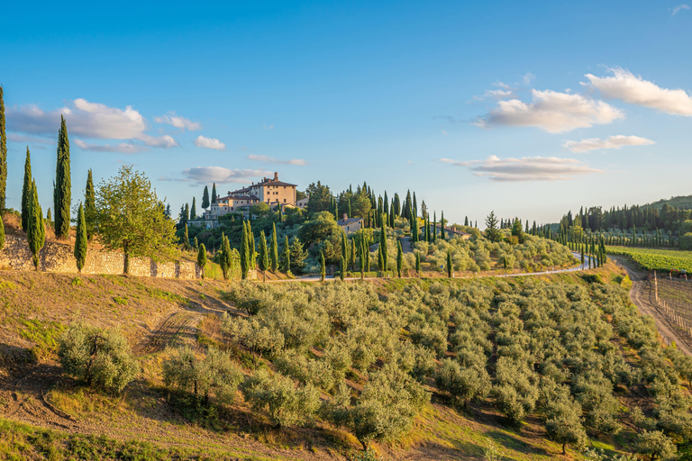 高尔夫球车之旅：佛罗伦萨亮点速览高尔夫球车之旅：佛罗伦萨精彩亮点