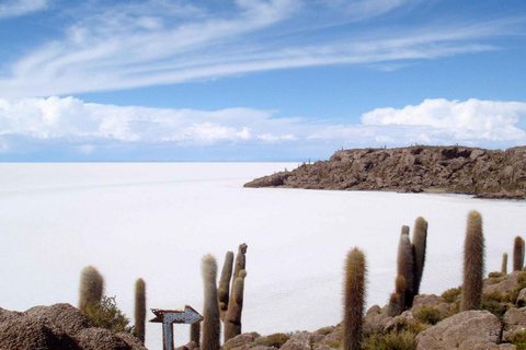 Från Uyuni: Laguna Colorada och Salar de Uyuni 3 dagar + måltider