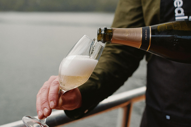 From Queenstown: Milford Sound Business Class with Cruise Milford Sound Business Class