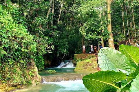 Benta River Falls and Ricks Cafe Tour From Falmouth/ Trelawny