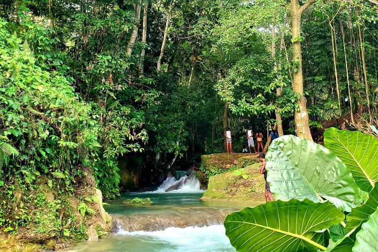 Benta River Falls and Ricks Cafe Tour From Falmouth/ Trelawny