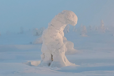 Levi: Snöskovandring till tomtens stuga med korvgrillning