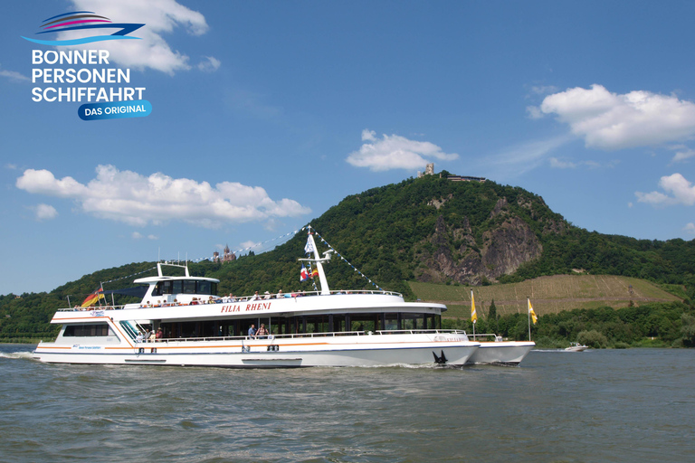 Bonn: River Cruise on the Rhine to Königswinter
