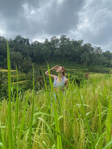 Monkey Forest, Waterfall ,Temple and Rice Terrace