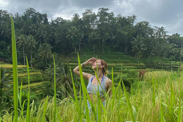 Monkey Forest, Waterfall ,Temple and Rice Terrace