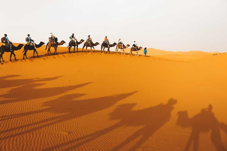 Circuit de luxe de 5 jours dans le désert de Marrakech à Erg Chebbi - dromadaire