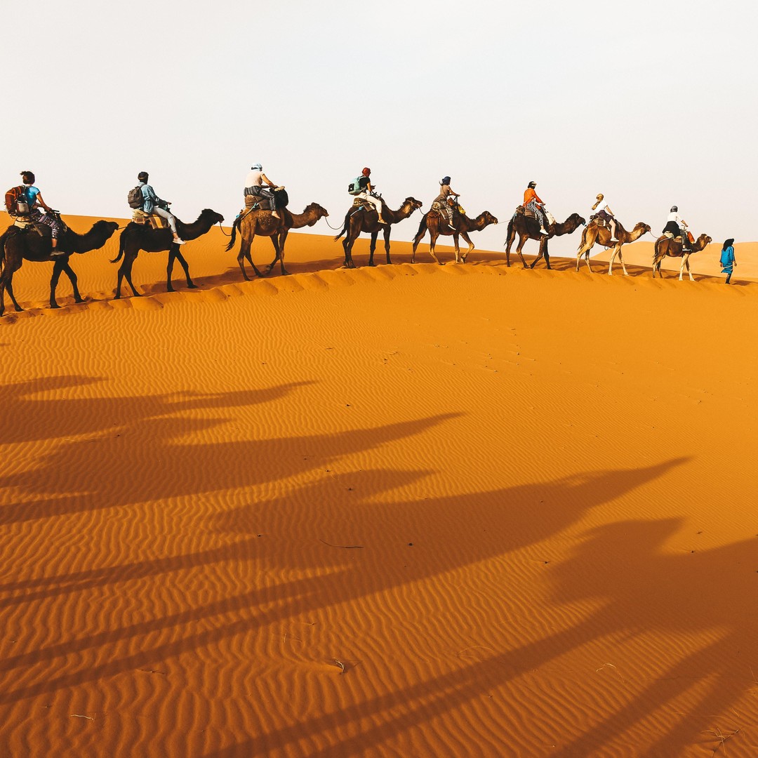 Circuit de luxe de 5 jours dans le désert de Marrakech à Erg Chebbi - dromadaire