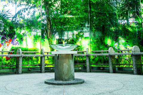 Bucharest Therme Spa Admission with Full Transfer Service PRIVATE TOUR Bucharest Therme Spa Admission withFullTransfer