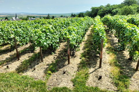 Reims/Epernay: Private Veuve Clicquot Champagne Tasting Tour