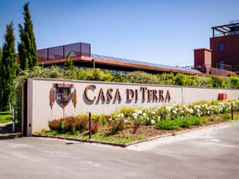 Bolgheri: visita guiada a la bodega y cata de nuestros vinos.