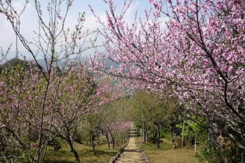 Sapa: "Dragon Jaw Mountain" Panorama Experience
