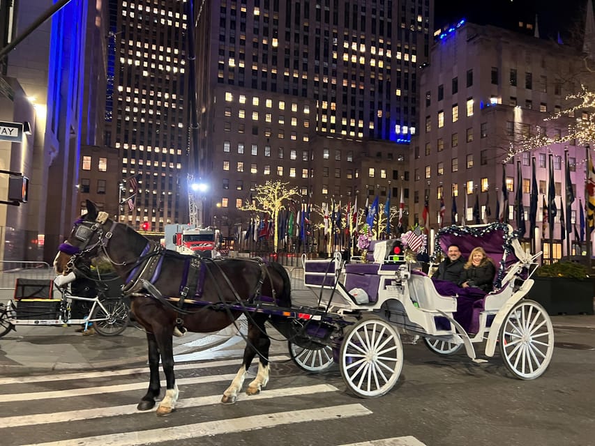 NYC: Holiday Lights Private Horse Carriage Ride | GetYourGuide