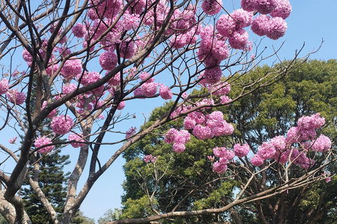 Bangalore: Budget Friendly City Tour pickup/lunch