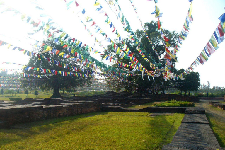 Van Kathmandu: 3-daagse tour naar Lumbini met 5 * hotel