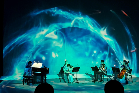 ✨Immersive Light & Music Show in Bilbao by Under The Tree