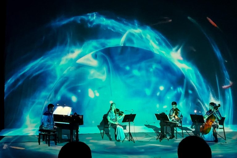 ✨Immersive Light & Music Show in Bilbao by Under The Tree