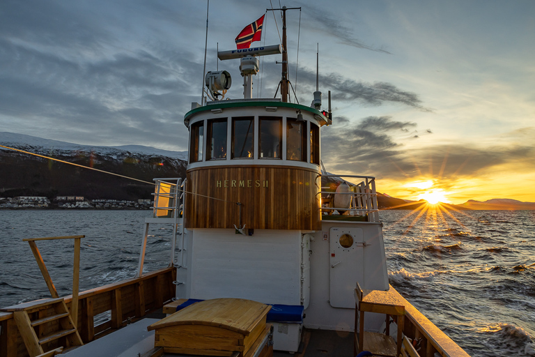 Tromsø: Wieczorny rejs w świetle arktycznym z zupą rybną