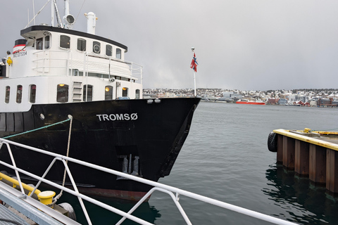 Tromsø: Classic arctic fjord cruise with lite lunch
