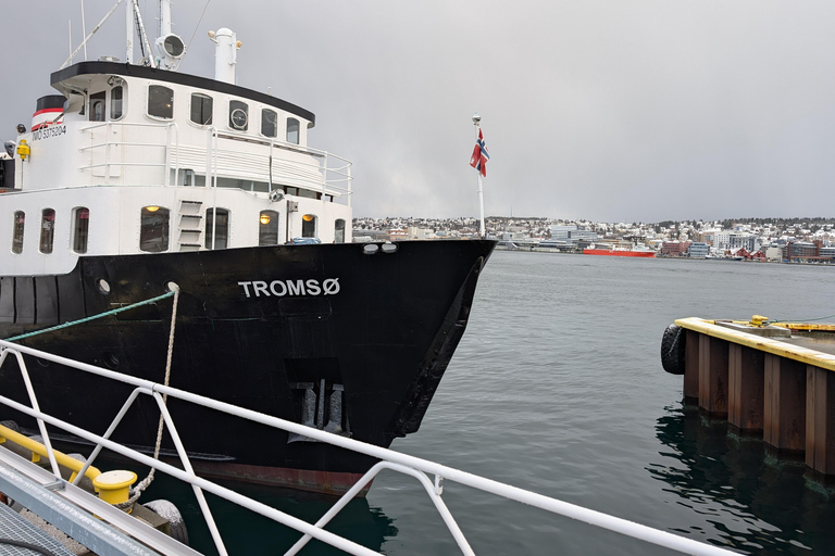 Tromsø: Classic arctic fjord cruise with lite lunch