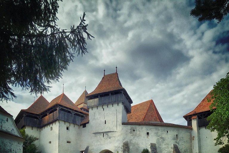 Saxon Villages Tour: Viscri, Rupea Fortress, Criț & Saschiz