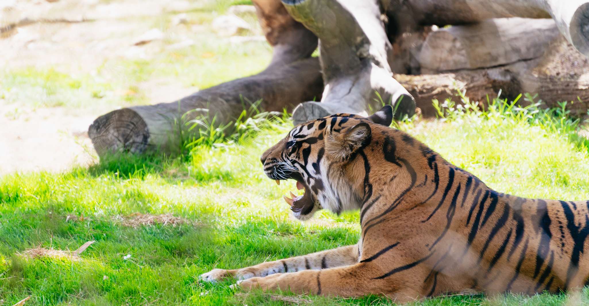 Phoenix Zoo, ein Tag Allgemeine Eintrittskarte - Hizvo