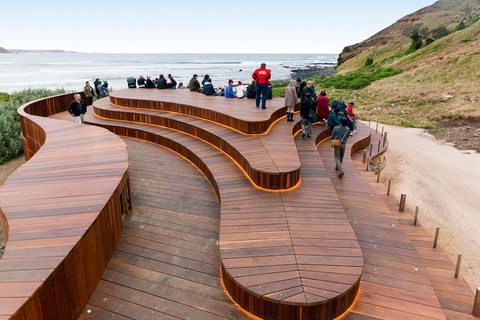 Desde Melbourne: Excursión Exprés al Desfile de Pingüinos de Phillip Island