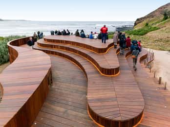 From Melbourne: Phillip Island Penguin Plus - Grandstand