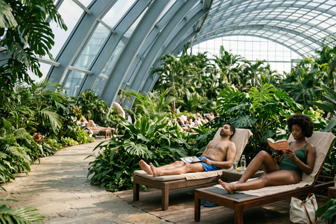 Therme Bucharest Palm, Galaxy or Elysium Access & Transfer 12 HOURS Therme Bucharest Palm, Galaxy Access & Transfer