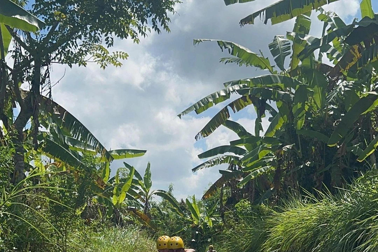 Ubud : Rice Teracces, Gorila Face ATV & RaftingPour les voyageurs en solo qui réservent cette