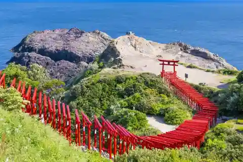 Fukuoka: Kyushu, Yamaguchi Akiyoshido Cave & Shrine Day Trip