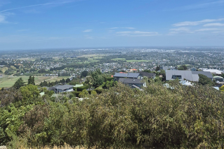 Christchurch Private Scenic Highlights Tour with Local Guide
