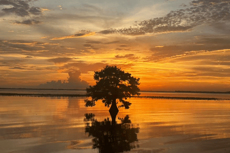 Orlando Sunset Airboat Tour w/ Alligator & Wildlife Viewing