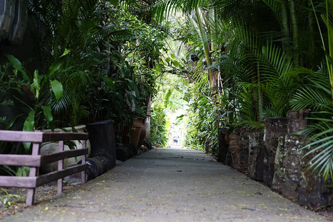 Rio de Janeiro: Ilha da Gigóia Canals and Wildlife Tour